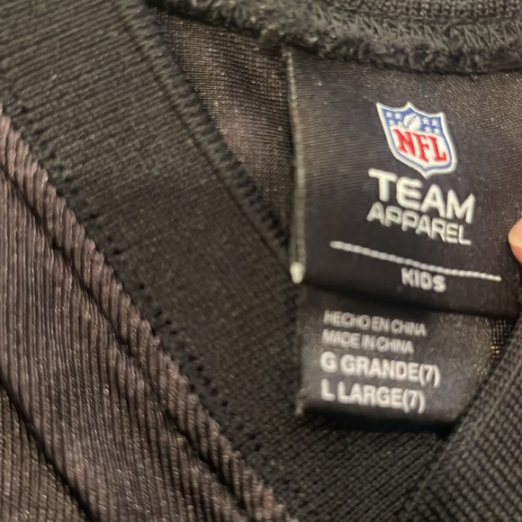 Steelers Troy Polamalu NFL jersey - Picture 2 of 5